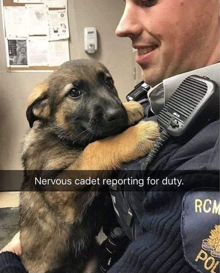 Nervous cadet reporting for duty f U m Y N4