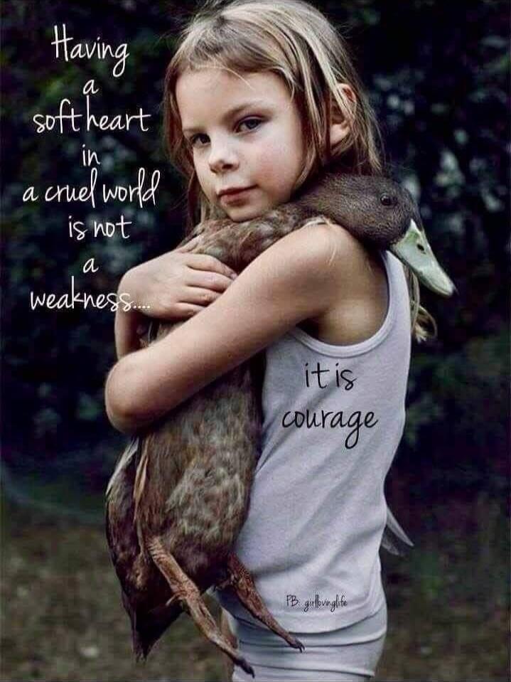 Having a soft heart in a cruel world is not a weakness... it is courage