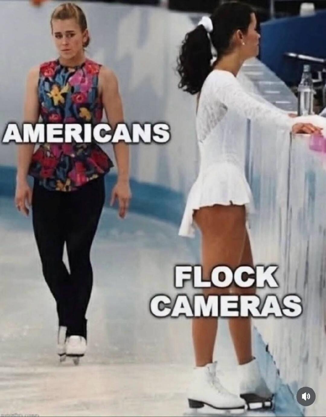 AMERICANS FLOCK CAMERAS