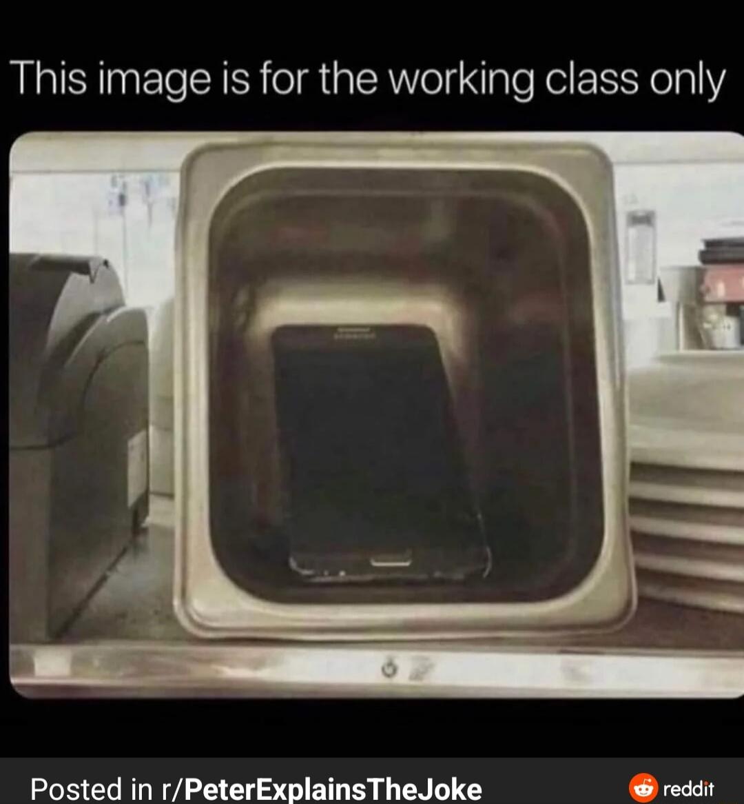 This image is for the working class only
[image shows a phone inside a dishwasher rack]
Posted in r/PeterExplainsTheJoke