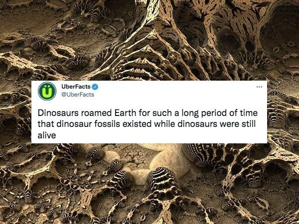Dinosaurs roamed Earth for such a long period of time that dinosaur fossils existed while dinosaurs were still alive