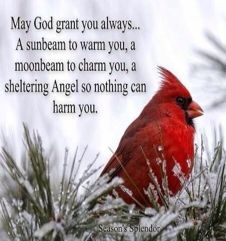 May God grant you always... A sunbeam to warm you, a moonbeam to charm you, a sheltering Angel so nothing can harm you. Season's Splendor