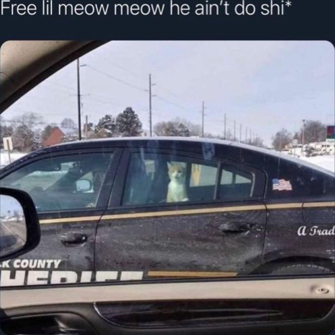 Free lil meow meow he aint do shi