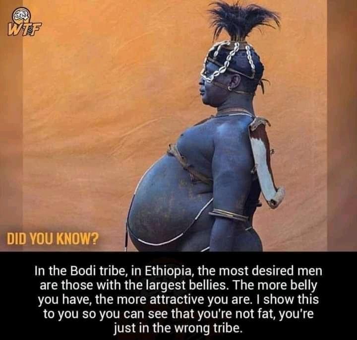 QDA In the Bodi tribe in Ethiopia the most desired men EICR A GRGINET S8 o I 1 TR Te 1 o 1 you have the more attractive you are show this to you so you can see that youre not fat youre just in the wrong tribe