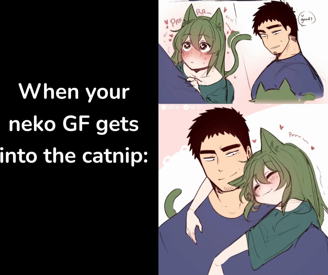 When your neko GF gets into the catnip