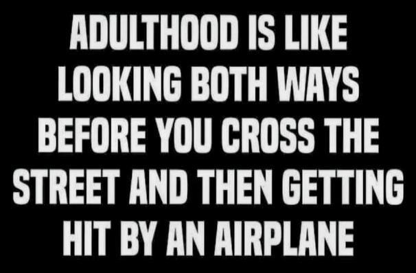 ADULTHOOD IS LIKE LOOKING BOTH WAYS BEFORE YOU CROSS THE STREET AND THEN GETTING HIT BY AN AIRPLANE