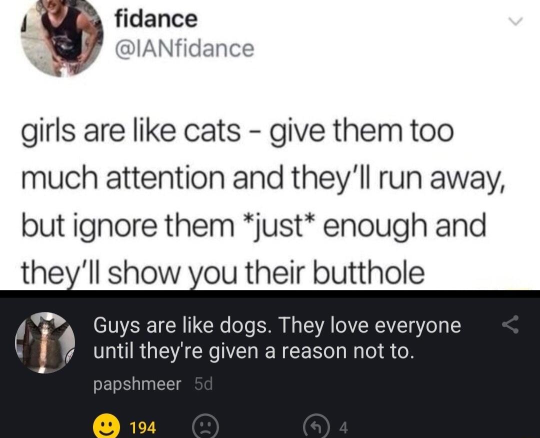 1 fidance Sy IANfidance 3 girls are like cats give them too much attention and theyll run away but ignore them just enough and theyll show you their butthole 4 Guys are like dogs They love everyone until hey re given a reason not to