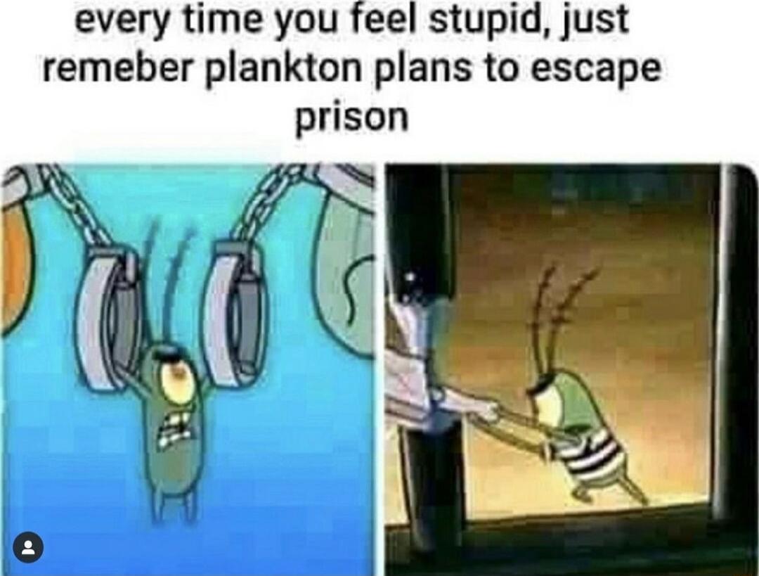 every time you feel stupid just remeber plankton plans to escape prison