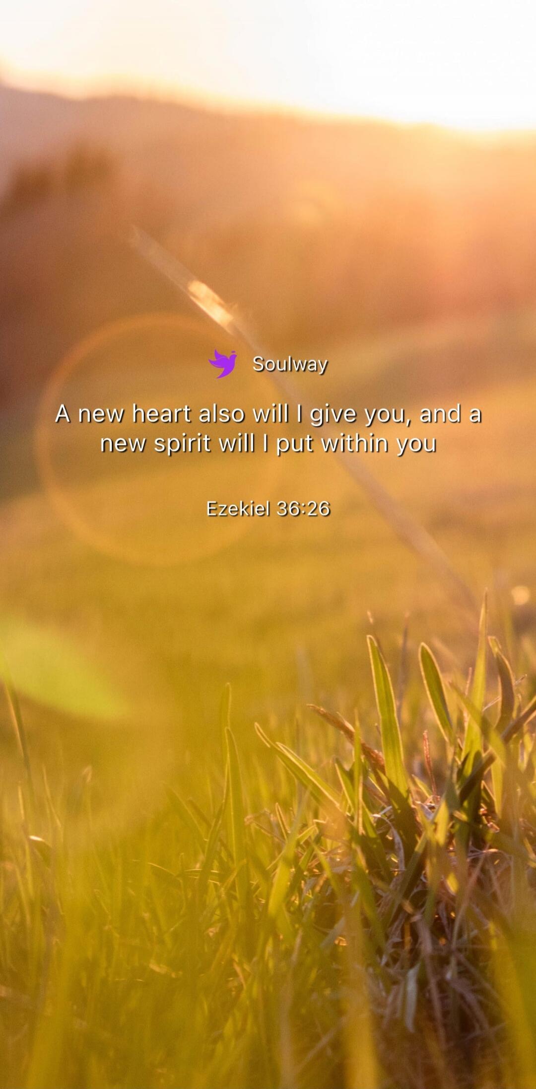 A new heart also will I give you, and a new spirit will I put within you Ezekiel 36:26
