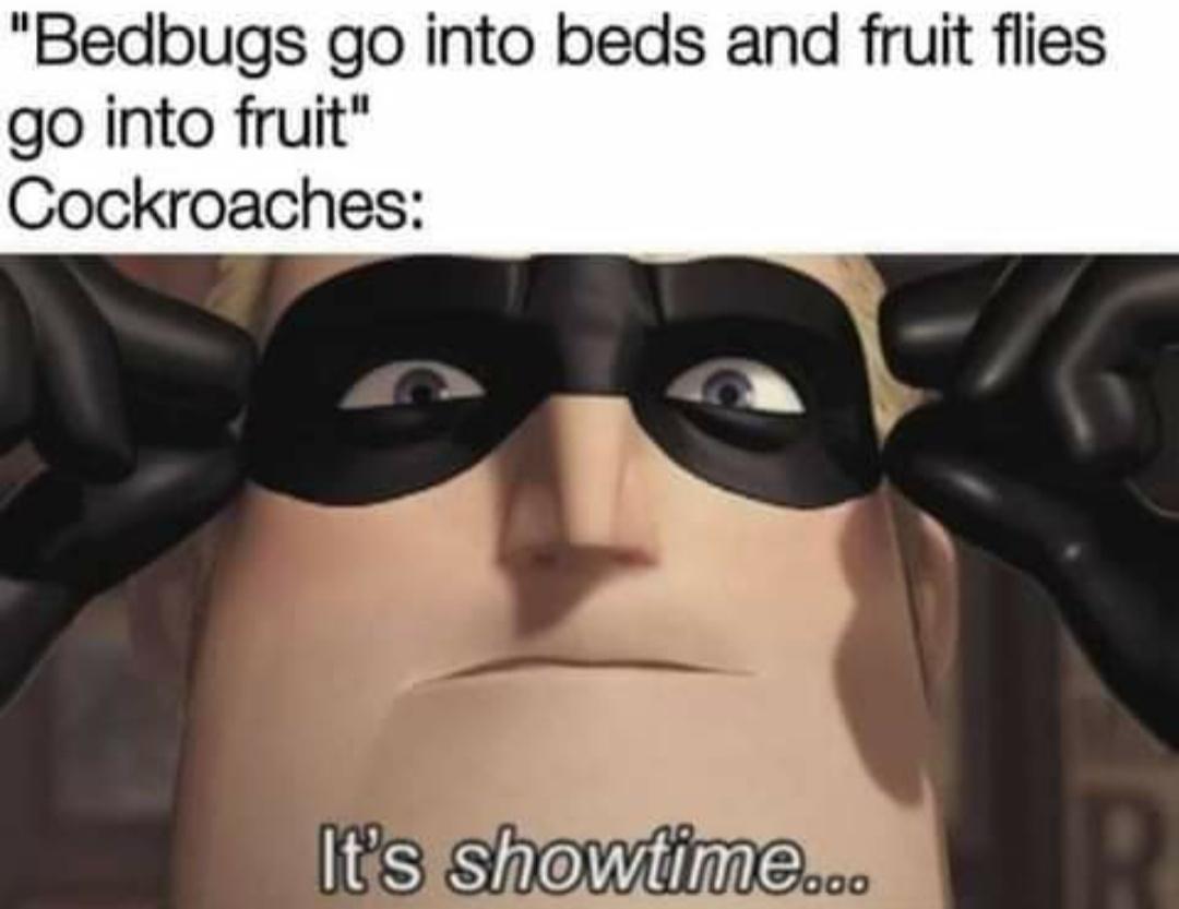 Bedbugs go into beds and fruit flies go into fruit Cockroaches