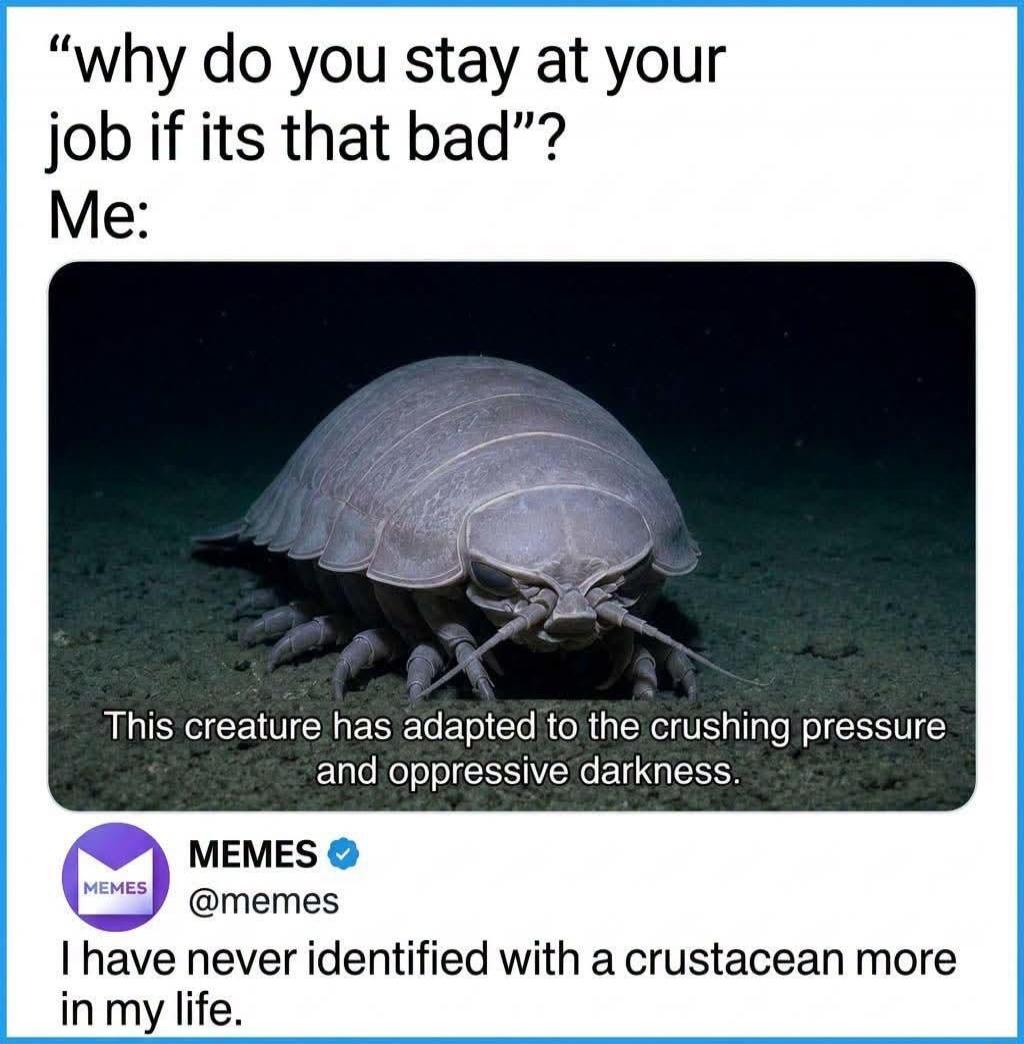 Why do you stay at your job if its that bad? Me: This creature has adapted to the crushing pressure and oppressive darkness. I have never identified with a crustacean more in my life.