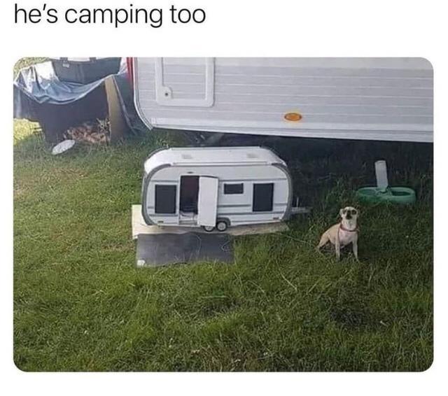 hes camping too