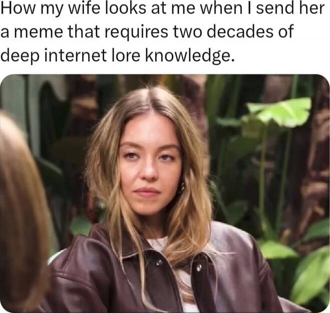How my wife looks at me when I send her a meme that requires two decades of deep internet lore knowledge.