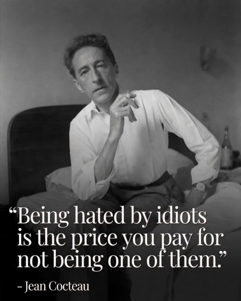 Being hated by idiots is the price you pay for not being one of them. - Jean Cocteau