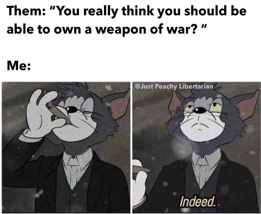 Them You really think you should be able to own a weapon of war