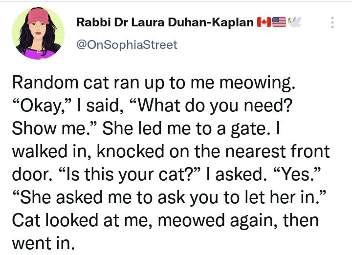 Rabbi Dr Laura Duhan Kaplan HZE i 7 OnSophiaStreet Random cat ran up to me meowing Okay said What do you need Show me She led me to a gate walked in knocked on the nearest front door Is this your cat asked Yes She asked me to ask you to let her in Cat looked at me meowed again then went in