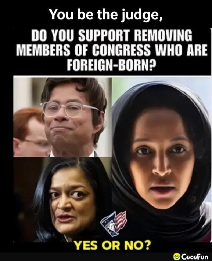 You be the judge, DO YOU SUPPORT REMOVING MEMBERS OF CONGRESS WHO ARE FOREIGN-BORN? YES OR NO?