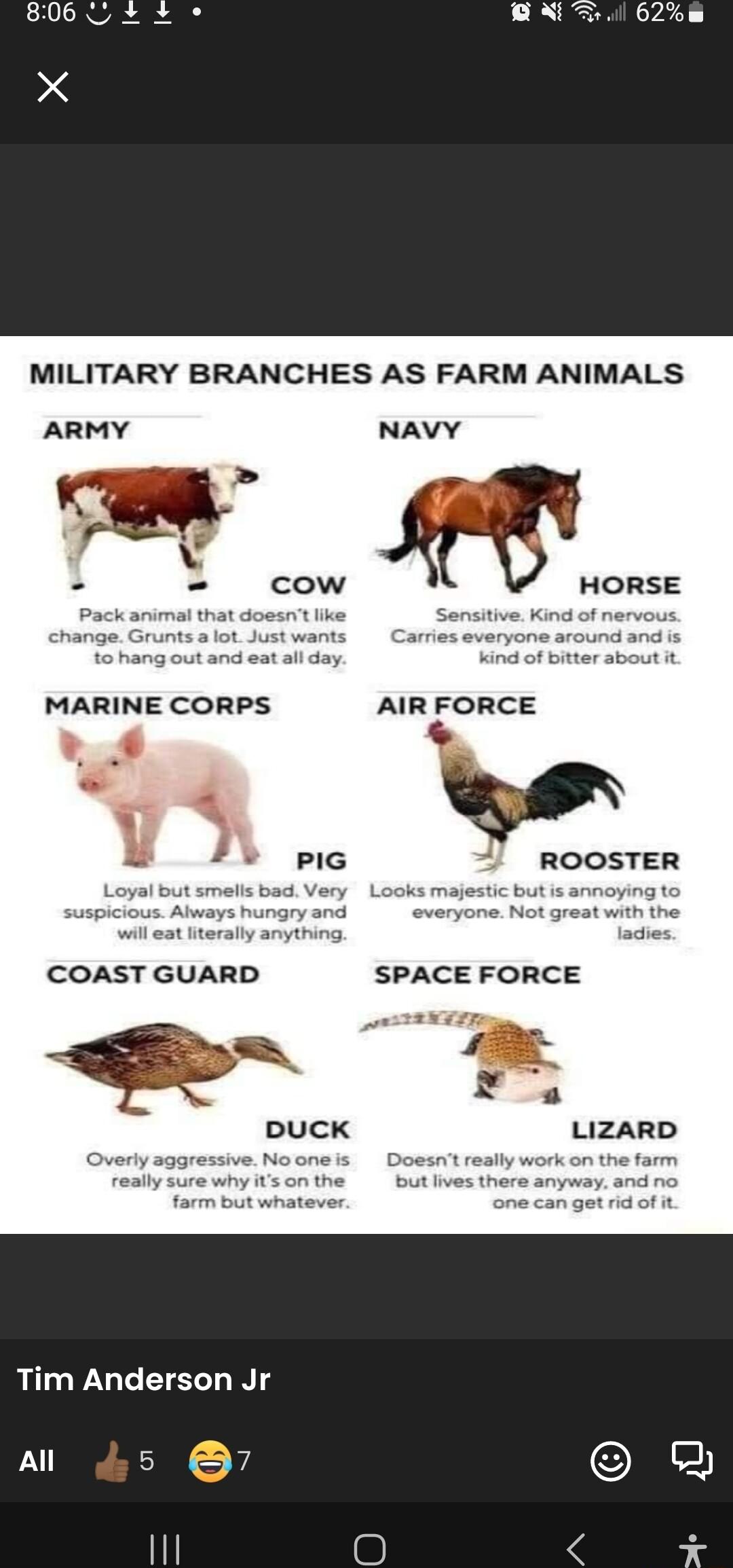 MILITARY BRANCHES AS FARM ANIMALS ARMY NAVY AIR FORCE W ROOSTER Looks majestic but is annoying to everyone Not great with the vl eat literally anything ladies COAST GUARD SPACE FORCE LIZARD one cangut Ad ot Tim Anderson Jr