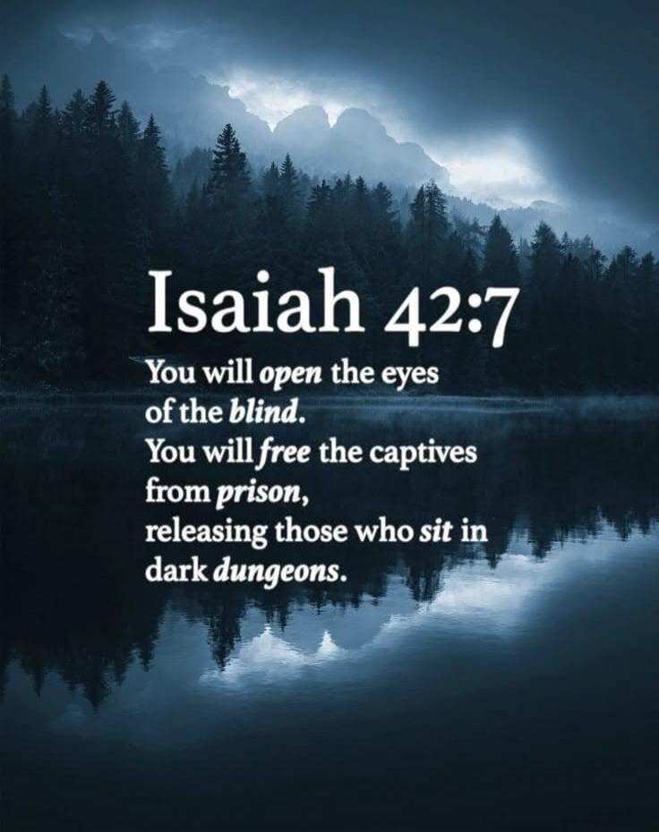 Isaiah 42:7 You will open the eyes of the blind. You will free the captives from prison, releasing those who sit in dark dungeons.