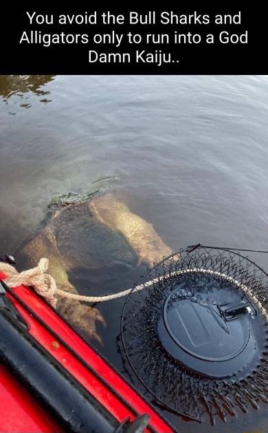 You avoid the Bull Sharks and Alligators only to run into a God DEIIRCTT