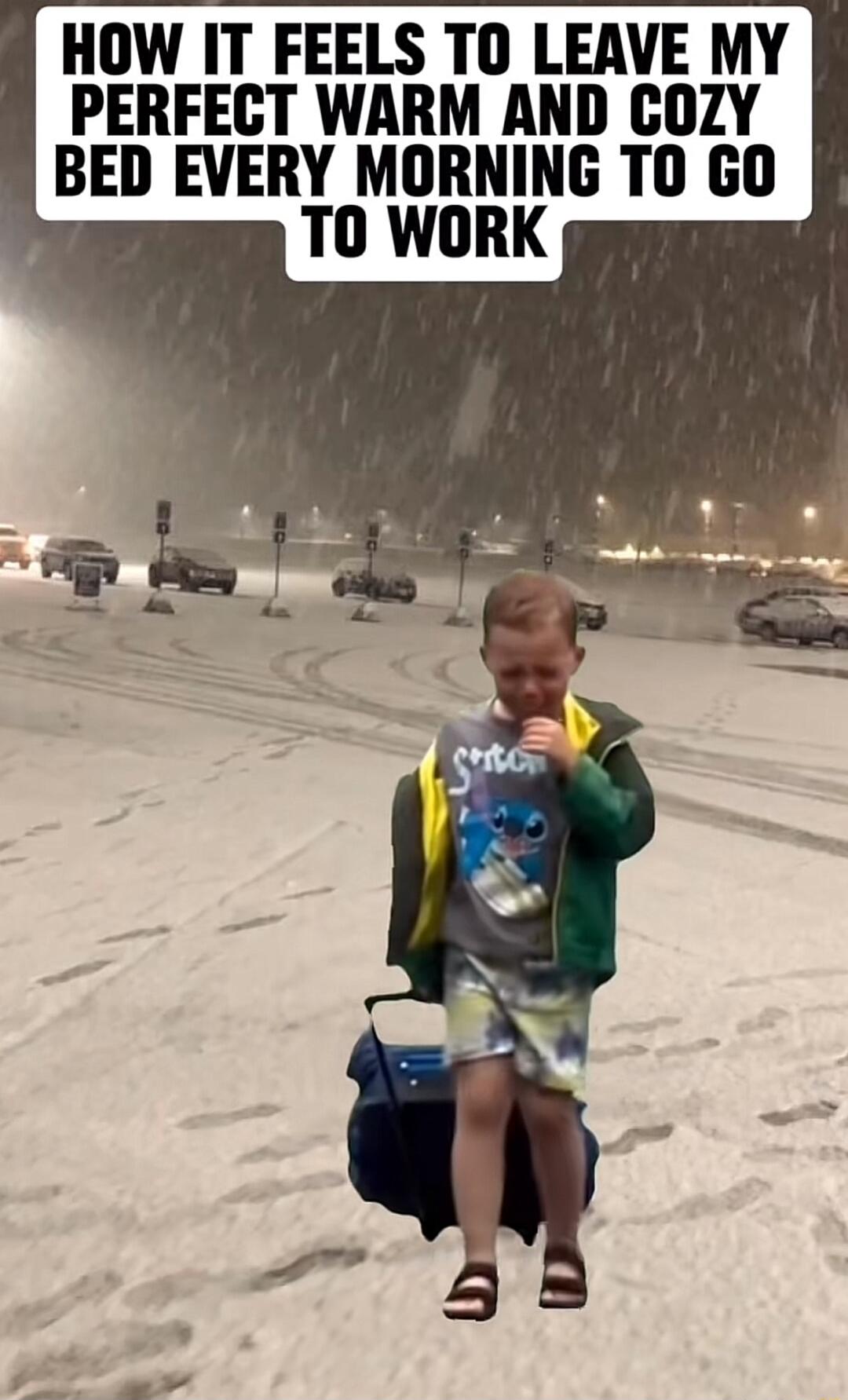 HOW IT FEELS TO LEAVE MY PERFECT WARM AND COZY BED EVERY MORNING TO GO TO WORK