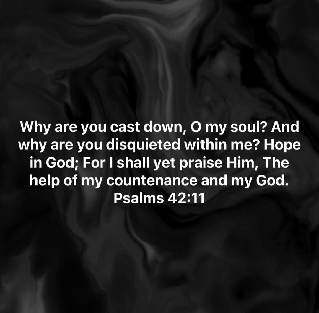 Why are you cast down, O my soul? And why are you disquieted within me? Hope in God; For I shall yet praise Him, The help of my countenance and my God. Psalms 42:11