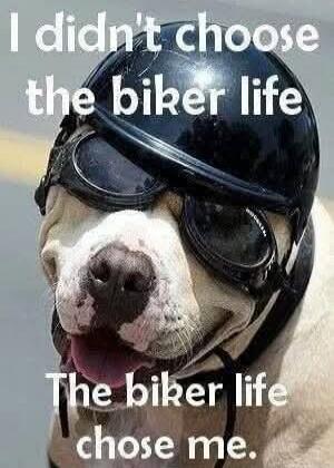 I didn't choose the biker life The biker life chose me.