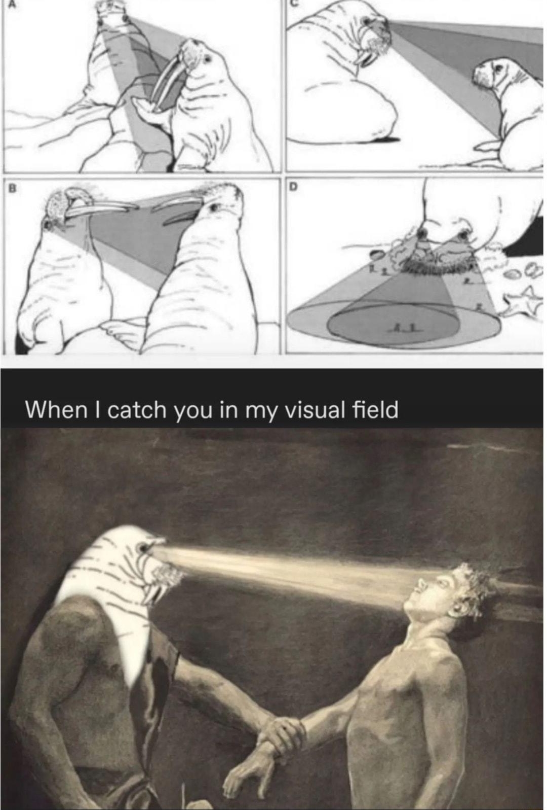 RELEIRGEE AL Cpiopa o When catch you in my visual field