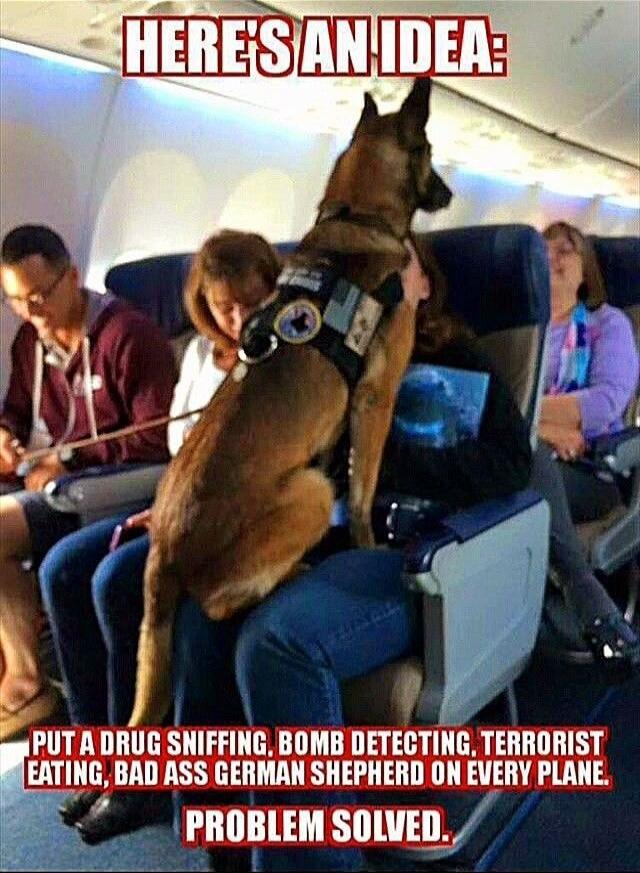 HERE'S AN IDEA: PUT A DRUG SNIFFING, BOMB DETECTING, TERRORIST EATING, BAD ASS GERMAN SHEPHERD ON EVERY PLANE. PROBLEM SOLVED.