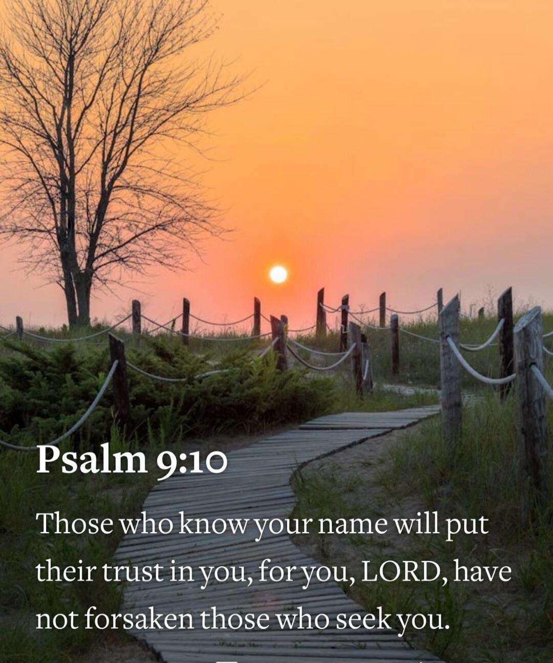 Psalm 9:10 Those who know your name will put their trust in you, for you, LORD, have not forsaken those who seek you.