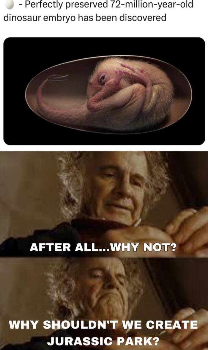 Perfectly preserved 72 million year old dinosaur embryo has been discovered y t L WHY SHOULDNT WE CREATEJ JURASSIC PARK