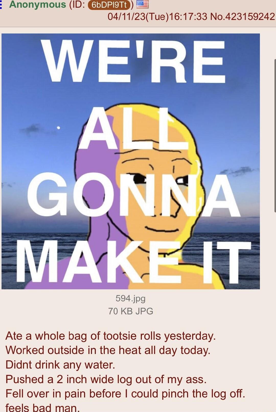 Anonymous ID GEIEEND 041123Tue161733 No423159242 594jpg 70 KB JPG Ate a whole bag of tootsie rolls yesterday Worked outside in the heat all day today Didnt drink any water Pushed a 2 inch wide log out of my ass Fell over in pain before could pinch the log off feels bad man