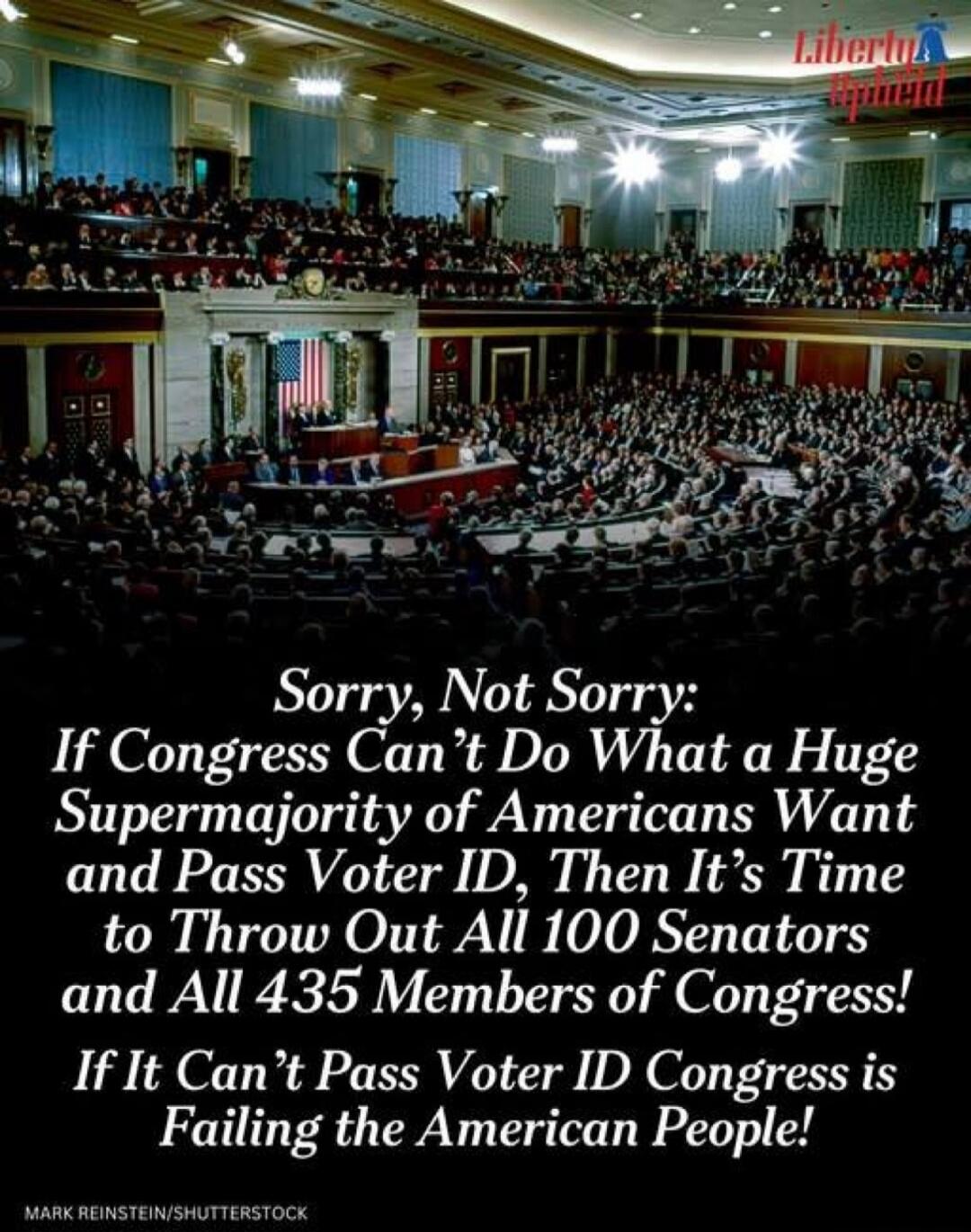 Sorry, Not Sorry:
If Congress Can't Do What a Huge Supermajority of Americans Want and Pass Voter ID, Then It's Time to Throw Out All 100 Senators and All 435 Members of Congress!
If It Can't Pass Voter ID Congress is Failing the American People!
MARK REINSTEIN/SHUTTERSTOCK
