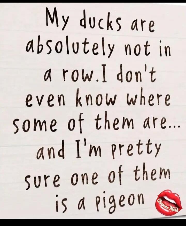 My ducks are absolutely not in a row. I don't even know where some of them are... and I'm pretty sure one of them is a pigeon. Cheyenne Mark
