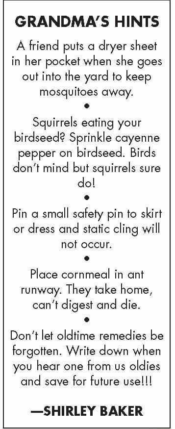 GRANDMAS HINTS A friend puts a dryer sheet in her pocket when she goes out into the yard to keep mosquitoes away L Squirrels eating your birdseed Sprinkle cayenne pepper on birdseed Birds dont mind but squirrels sure dol L Pin a small safety pin to skirt or dress and static cling will not oceur L Place cornmeal in ant runway They take home cant digest and die Dont let oldtime remedies be forgotten