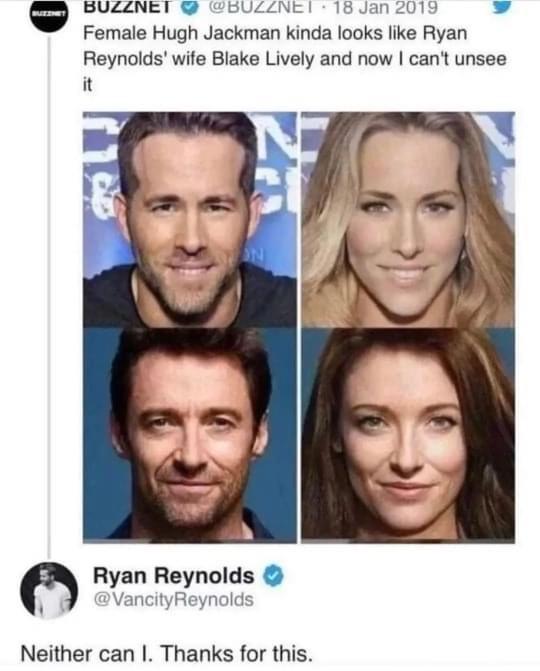 BULZINET BULLINE 18 Jan 2019 v Female Hugh Jackman kinda looks like Ryan Reynolds wife Blake Lively and now cant unsee it Ryan Reynolds VancityReynolds Neither can I Thanks for this