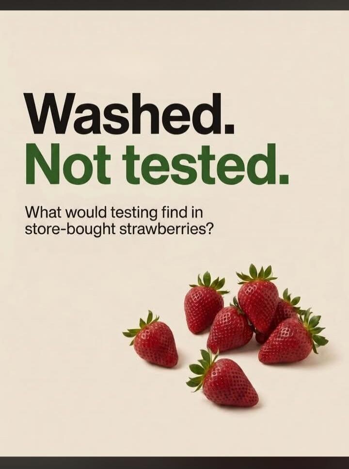 Washed. Not tested. What would testing find in store-bought strawberries?