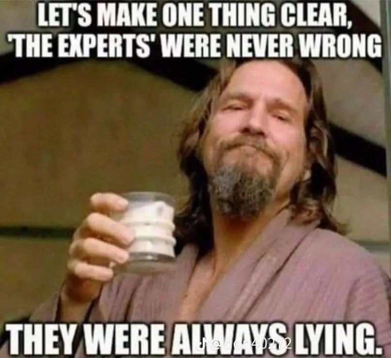 LET'S MAKE ONE THING CLEAR, 'THE EXPERTS' WERE NEVER WRONG THEY WERE ALWAYS LYING.
