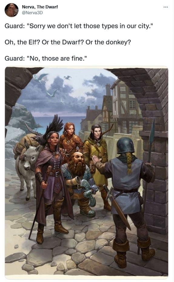 Guard Sorry we dont let those types in our city Oh the EIf Or the Dwarf Or the donkey 500 AM Jan 20 2
