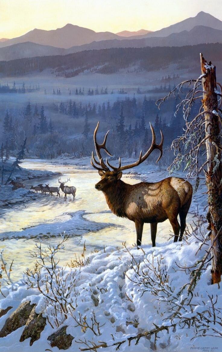 PEREIRA CANON LORE 1996