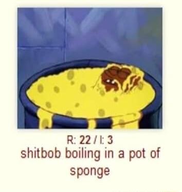 R2213 shitbob boiling in a pot of sponge