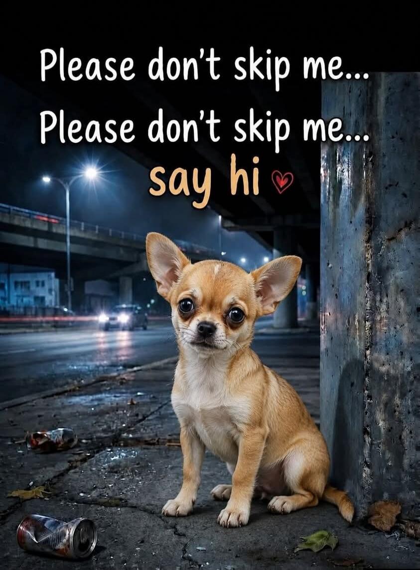 Please don't skip me... Please don't skip me... say hi ❤️