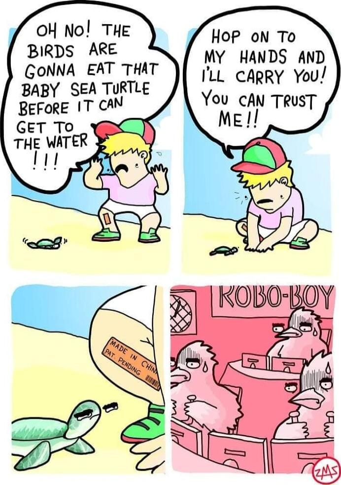 OH No THE BIRDS ARE GONNA EAT THAT BABY SEA TURTLE BEFORE IT CAN HoP oN To MY HANDS AND ILL CARRY You You cAN TRuST Me