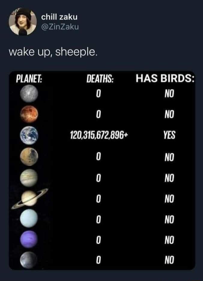 chill zaku zinZaku wake up sheeple PLANET DEATHS HAS BIRDS E o o rosmensm YEs o no 0 0 o N No