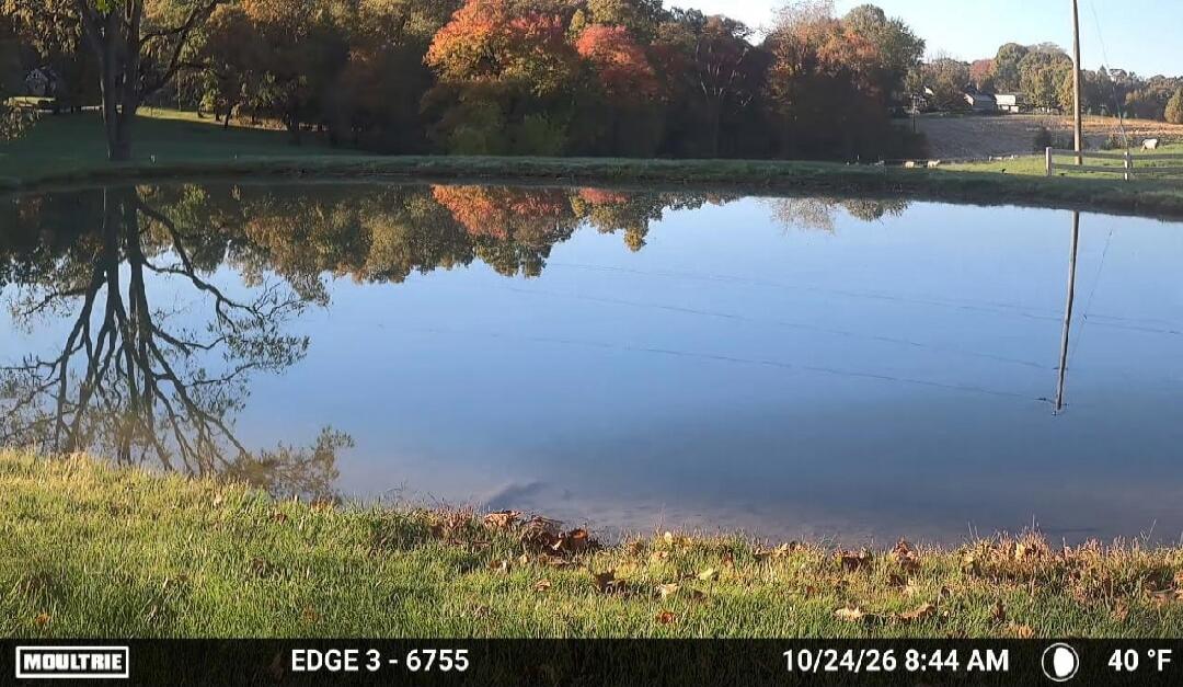 MOULTRIE EDGE 3 - 6755 10/24/26 8:44 AM 40 °F
