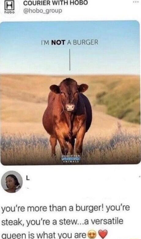 COURIER WITH HOBO nevo hobo_group IM NOT A BURGER youre more than a burger youre steak youre a stewa versatile queen is what vou are