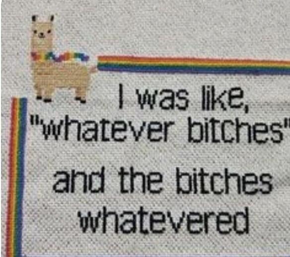 I was like, whatever bitches and the bitches whatevered