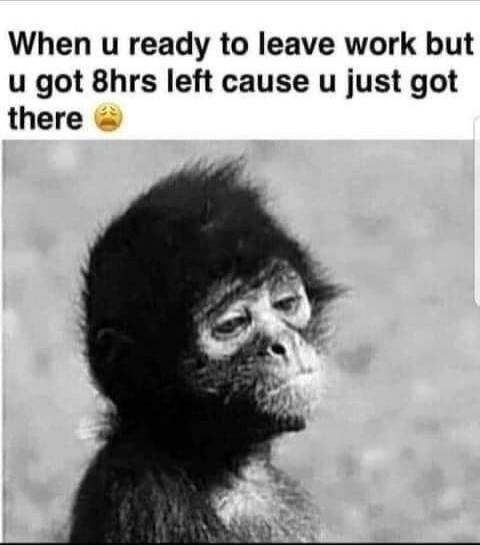 When u ready to leave work but u got 8hrs left cause u just got there 😩