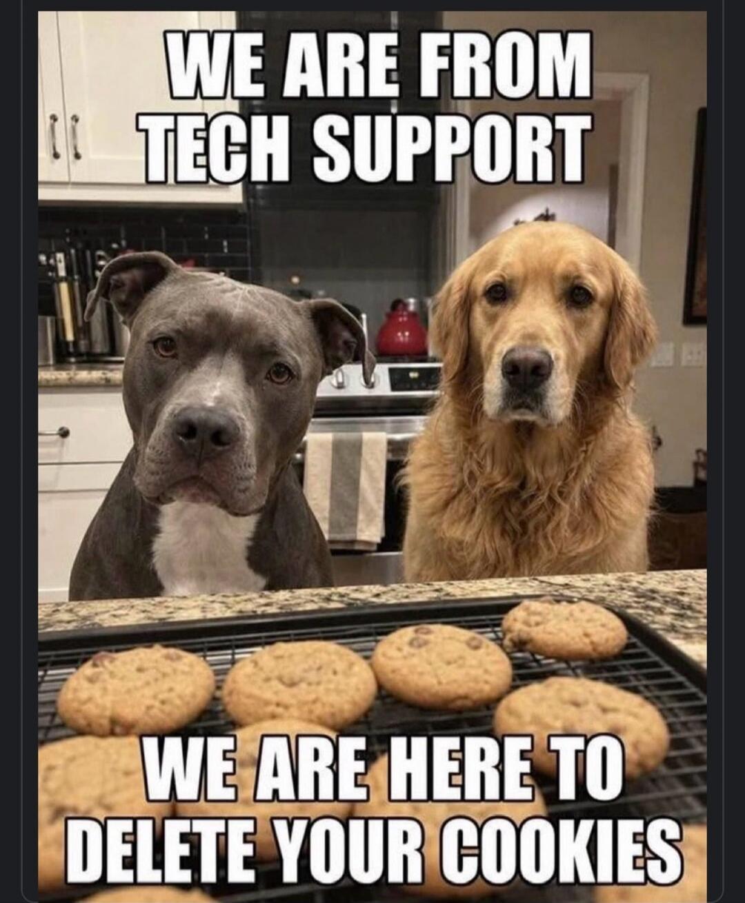 WE ARE FROM TECH SUPPORT WE ARE HERE TO DELETE YOUR COOKIES