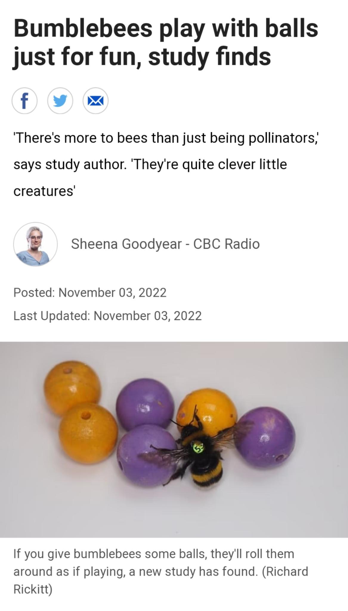 Bumblebees play with balls just for fun study finds f Theres more to bees than just being pollinators says study author Theyre quite clever little creatures g Sheena Goodyear CBC Radio Posted November 03 2022 Last Updated November 03 2022 If you give bumblebees some balls theyl roll them around as if playing a new study has found Richard Rickitt